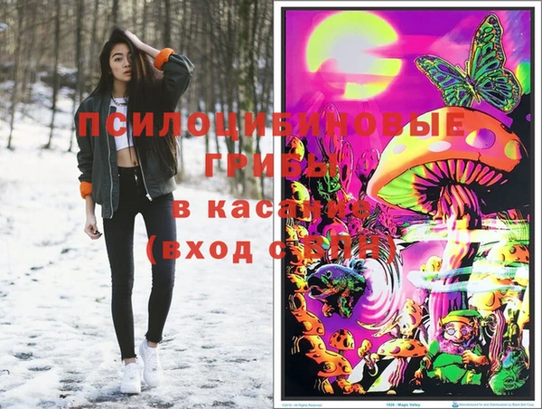 мяу мяу мука Ростов