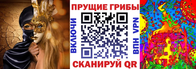 Галлюциногенные грибы Cubensis  где купить   Кыштым 